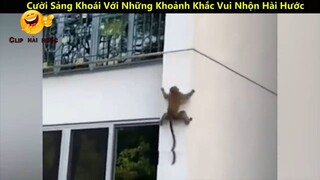 Cười Sảng Khoái Với Những Khoảnh Khắc Vui Nhộn Hài Hước Và Lầy Lội Nhất p20