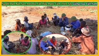 Nông Nghiệp VIỆT NAM || Người Dân Bản San Antonio Lần Đầu Được Cầm Trên Tay Giống Lúa Việt Nam