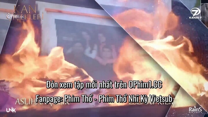 Hoa Máu EP 85 [Sub Việt]