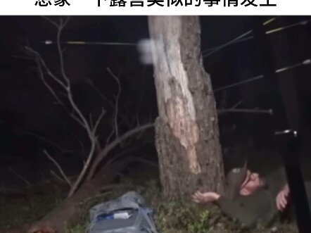 ผลไม้แหวกแนวคลุกเคล้าอลหม่าน