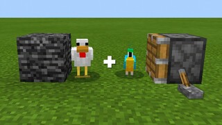 Parrot + Chicken = ???