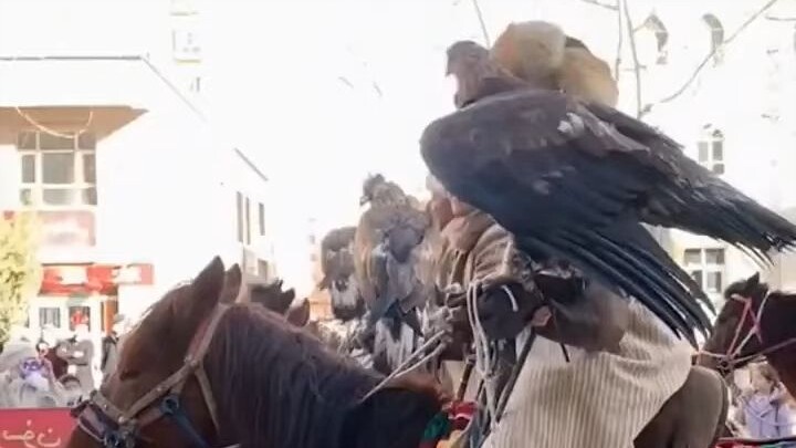 คนโบราณไม่ได้หลอกเราเลย: “ข้างซ้ายจูงสุนัขสีเหลือง ข้างขวาถือเหยี่ยวสีเทา” กลับเป็นเรื่องจริง! ชาวเน