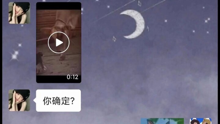 “Next Time, Find One Without a Cat”