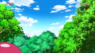 pokemon xy 50 (234) h