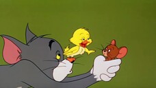 Tom and Jerry | Buddies and Lifes Compilation