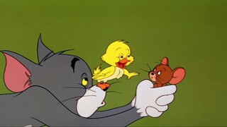 Tom and Jerry | Buddies and Lifes Compilation