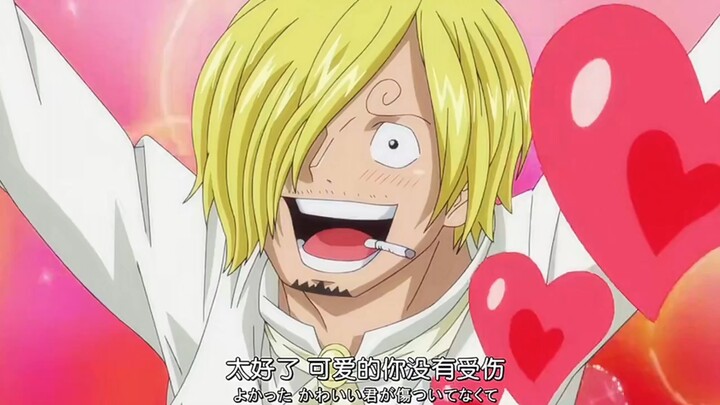 Semoga Eiichiro Oda bisa mempertemukan kembali dua si bodoh ini, dan akan lebih baik lagi kalau mere