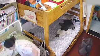 全程殴打恐吓小孩，这样的教育方式真的好吗！