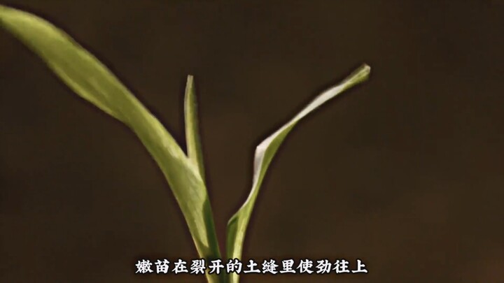 “Studying isn’t the only path to success, but knowledge truly can change your destiny.”