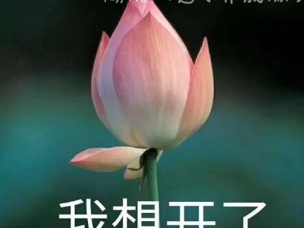 Meluruskan! Meluruskan!