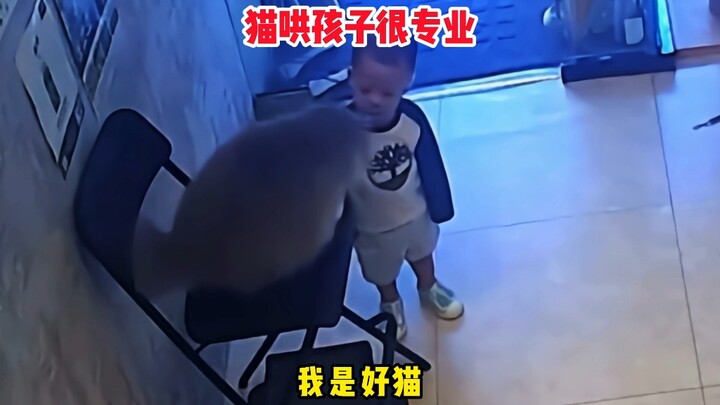 The cat’s weight is unknown, but its heart is pure and kind.