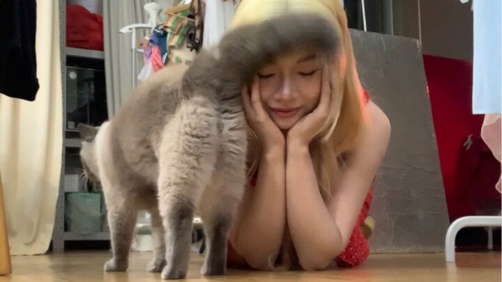 Khi tôi chủ động vuốt ve chú mèo nhỏ nhà mình, nó sẽ……