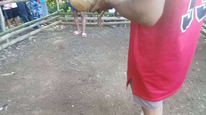 win ang ating pula na warrior guys😎