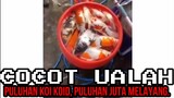 PULUHAN IKAN KOI KOID, PULUHAN JUTA RUPIAH MELAYANG ❗❗ | CHOCHOT UALAH 59