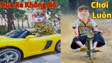 Thú Cưng TV | Ngáo Husky Troll Bố Dương KC #45 | chó thông minh vui nhộn | funny cute smart dog Pets