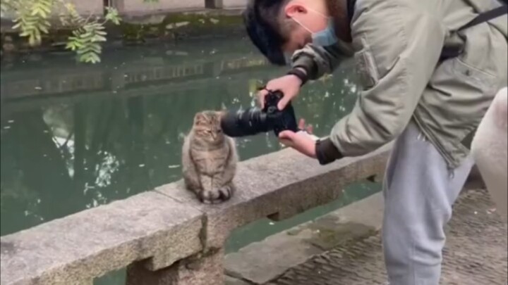 “Cat: Bring that crappy video of yours to court.”