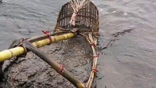 Ancestral rake fishing artifact