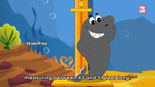 Deadliest Prehistoric Predator | Livyatan The Sperm Whale That Killed Other Whales | Dr Binocs Show