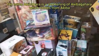 Akihabara Electric Town | Centre of Japanese Otaku Culture & Major Shopping Video Games Anime Manga