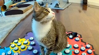 فو فو قال شيئًا ثم هرع بعيدًا.