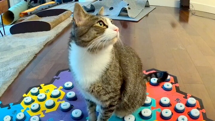 Fu Fu berkata, "Kamu di mana?" lalu pergi dengan tergesa-gesa.