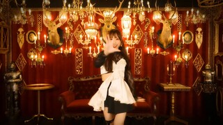 【Complete Dance HD】Lagu baru Captain I'm Your Treasure Box versi lengkap Zhenfushi わた マリBox【楼ってみた】【わ