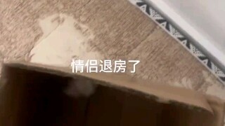小姐姐是“吃货”呀