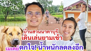 รอดมั้ย ! พี่เหน่งพาดูนาข้าว​ พาเมีย​ เดินเล่นกับหมา​  ตกใจ​แต่เช้า เมย์น้ำหนักลดลงอีกแล้ว​ บ้านสวน