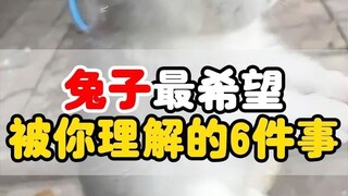 6 Things Rabbits Most Hope You Understand—It'll Bring Tears to Your Eyes