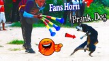 Must Watch Funny Video Fans Horn Prank Dog Very Funny Without Stop Laughing