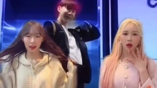 2AM赵权 x 宇宙少女CHOCOME《Super Yuppers!》舞蹈视频公开！