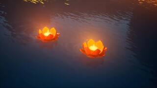 Nó bị hỏng rồi! Tôi đã bị xúc động bởi ánh mắt ngọt ngào của Tử Linh khi cô ấy nhìn Hàn Lập! Tôi sẽ 