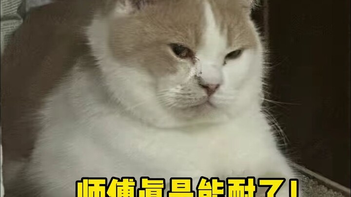 لم يُستغل سوى أقل من 10% من إمكانات المعلم البشري!