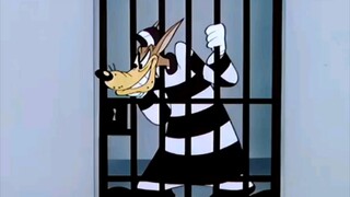 人送外号“黄色闪光”