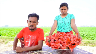 รวมคลิปหัวเราะน้ำตาไหล ep 52