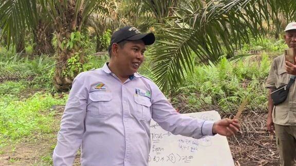 cara pemupukan yang bagus