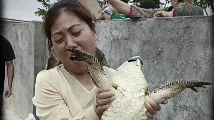 Fishing Adventure #CrocodileTreasure #CrocodileTreasureCrocodileLiquor #HealthWine