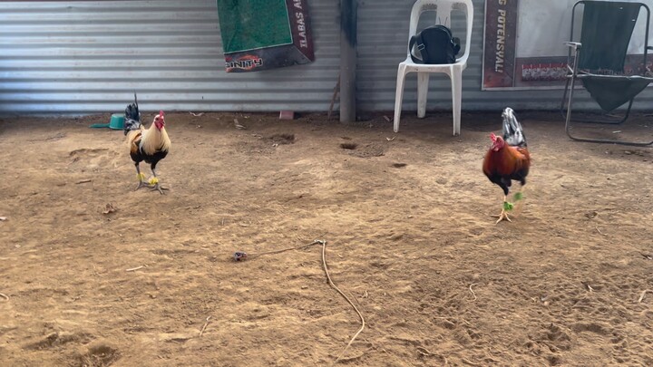 RMC GAMEFARM - Unang Sayaw