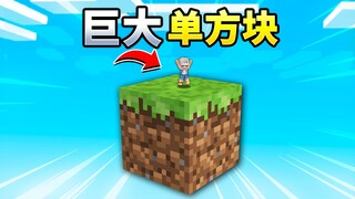 MC当整个世界方块都变得随机？！