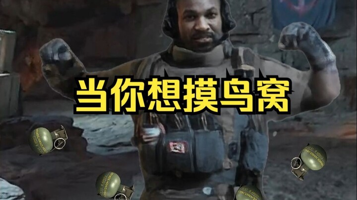 When You Want to Touch a Bird’s Nest