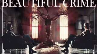 【拔杯/Hannigram】纠葛轮回/殊途同归 《Beautiful Crime/华丽罪行》抒情转燃向