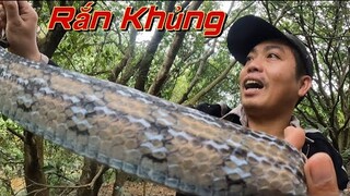 Trần Thạch Vlog Quay Trở Lại Team SBATVC Đi Săn Cùng Anh Em Gặp Ngày Hàng Khủng | ToànQN