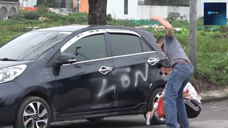 cười mệt 13 #bobo