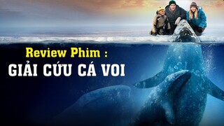 Review Phim Hay Hot : GIẢI CỨU CÁ VOI / Tóm Tắt Phim Hay