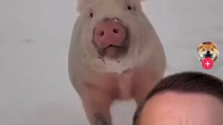 Aku tidak menyangka akan seperti ini.