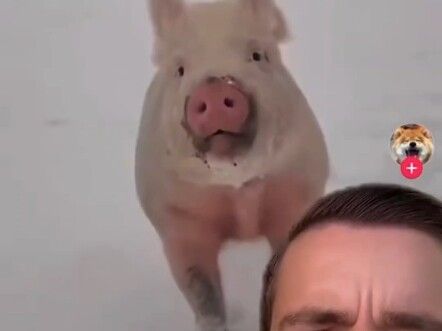 我没想到会这样