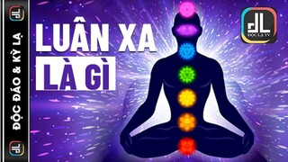 LUÂN XA LÀ GÌ? Các Luân Xa Có Tác Dụng Gì? Cách Để Khai Mở Luân Xa Chính Xác #DLTV