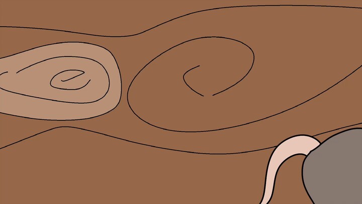 Why It Sucks to Be Born as a Swamp Antechinus(1080P_HD)