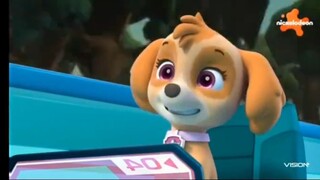 Paw Patrol Musim 8 Episode 7 dan Episode 8 Bahasa Indonesia Vision+