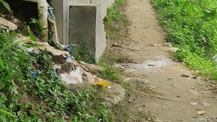 ৪.৫০ শতাংশ জমি বিক্রি করা হবে। রুপগঞ্জ, নারায়ণগঞ্জ। জল সিঁড়ির সন্নিকটে।